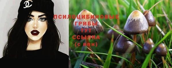 соль ск Балабаново