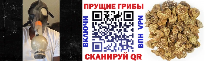 Галлюциногенные грибы Cubensis  kraken   Тихорецк 